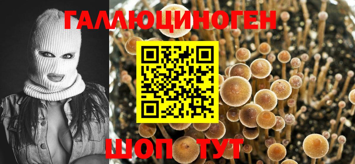 Галлюциногенные грибы мухоморы  продажа наркотиков  Бирск  Вход с VPN 