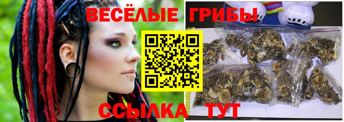 Псилоцибиновые грибы GOLDEN TEACHER Бирск